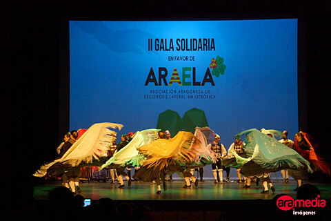 https://www.aramedia.es/area-de-clientes/ii-festival-araela-zaragoza